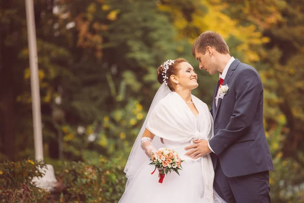 Jovem família, casamento, recém-casados — Fotografia de Stock