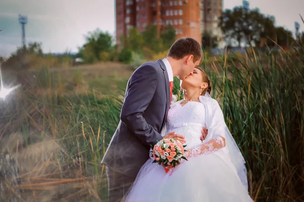 Prachtige mooie bruidspaar staande in de buurt van lake — Stockfoto