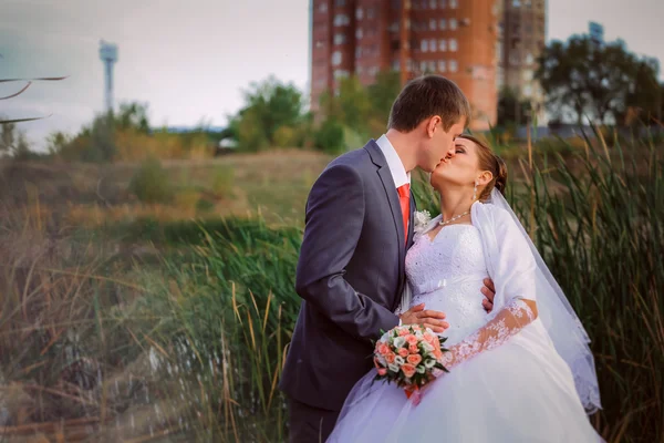 Prachtige mooie bruidspaar staande in de buurt van lake — Stockfoto