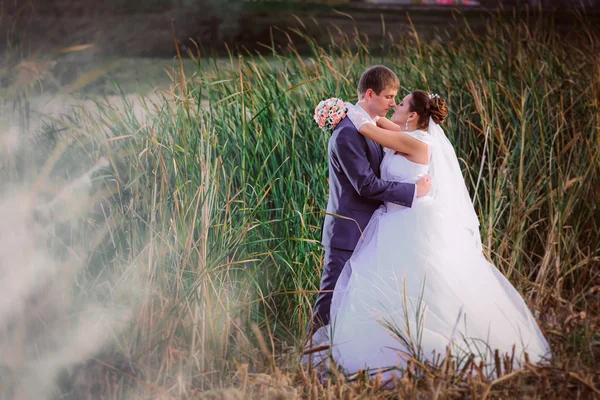 Hermosa pareja nupcial encantadora de pie cerca del lago —  Fotos de Stock