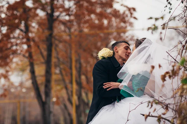 Beautiful wedding in autumn park — Stock Photo, Image