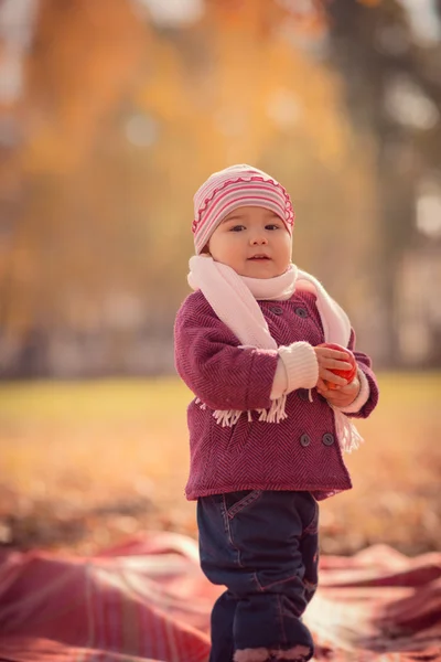 愛らしい幼児の女の子の美しい屋外秋のポートレート — ストック写真