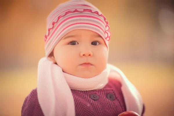 愛らしい幼児の女の子の美しい屋外秋のポートレート — ストック写真