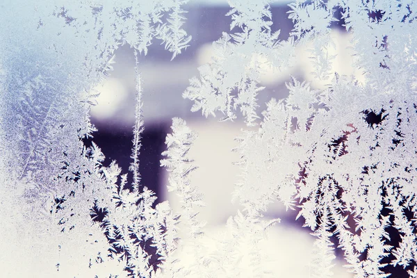 Padrões de gelo no vidro de inverno — Fotografia de Stock