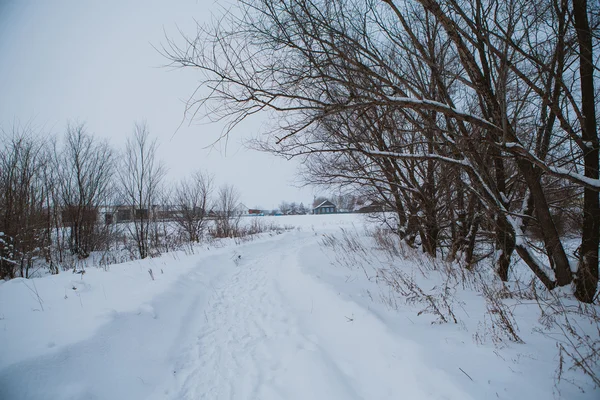 Zimowej przyrody. rosyjski kraju — Zdjęcie stockowe