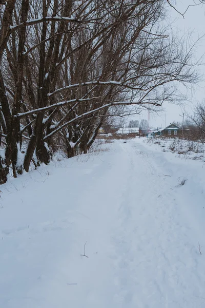 La nature hivernale. Pays russe — Photo