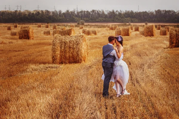 Gelin ve damat saman yakınındaki peçe ile — Stok fotoğraf