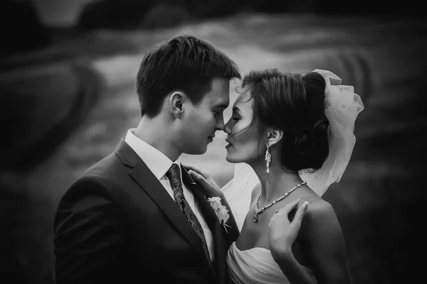 Groom carry a bride in one's arms — Stock Photo, Image