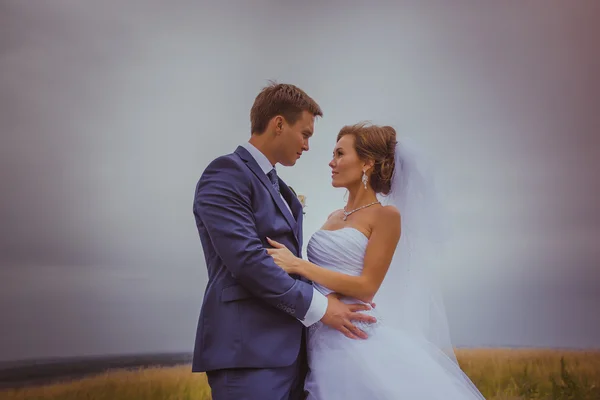 Junges Hochzeitspaar geht auf Feld. — Stockfoto