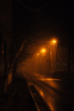Gece parkta yolundaki