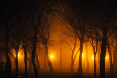 Gece parkta yolundaki