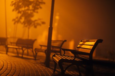 Gece parkta yolundaki