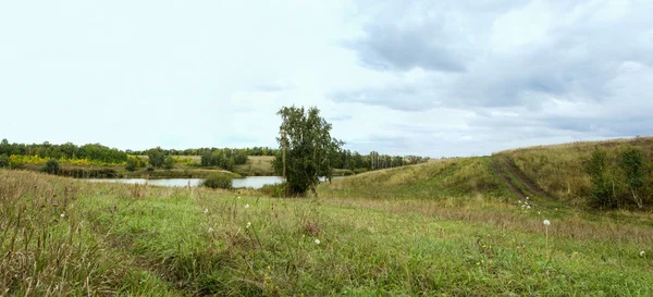 Estrada rural vazia através de campos com trigo — Fotografia de Stock