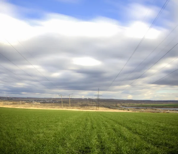 Campo de verano con dientes de león y sol en el cielo azul . —  Fotos de Stock