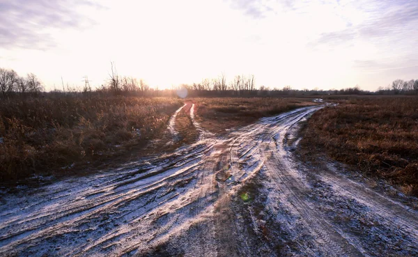 Mañana de invierno crujiente con árboles helados y camino al campo —  Fotos de Stock