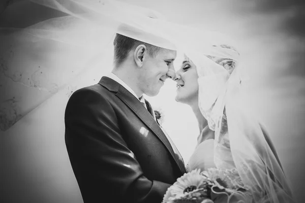 Retrato en blanco y negro de recién casados couple.wind levantar velo largo —  Fotos de Stock