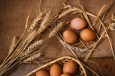 taze kahverengi yumurta ve buğday keten zemin üzerine