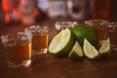 Tekila, limon ve tuz ahşap tablo