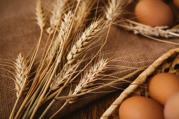 Fresh brown eggs and wheat on linen background — Stock Photo, Image