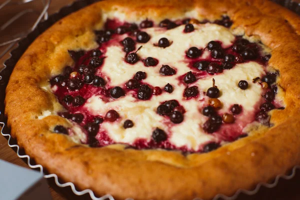 Rote und schwarze Johannisbeerkuchen — Stockfoto