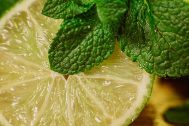 Kireç ve ahşap zemin üzerine nane