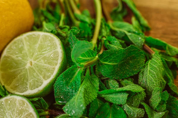 Färska mogna citrusfrukter med mynta på trädgård bord av trä — Stockfoto