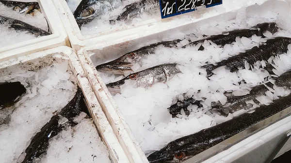 Viel frischer roher Fisch im Supermarkt — Stockfoto