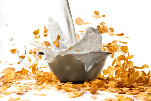 Pouring milk into corn flakes creating splash — Stock Photo, Image