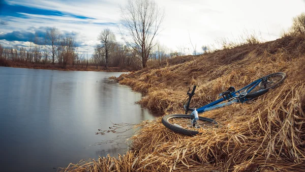 Bicicletta sul lungofiume vicino alla pineta — Foto Stock