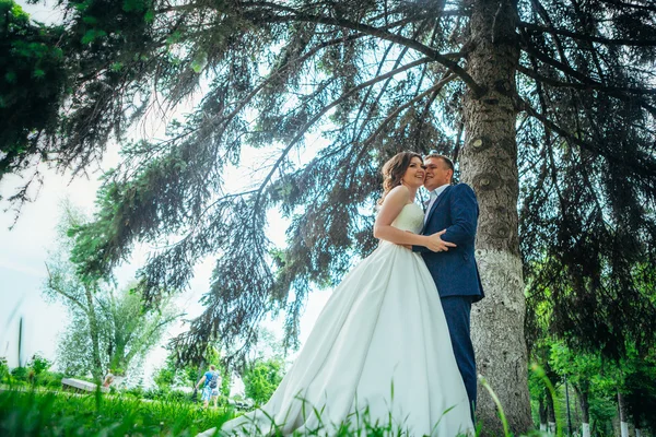 Novia y novio —  Fotos de Stock