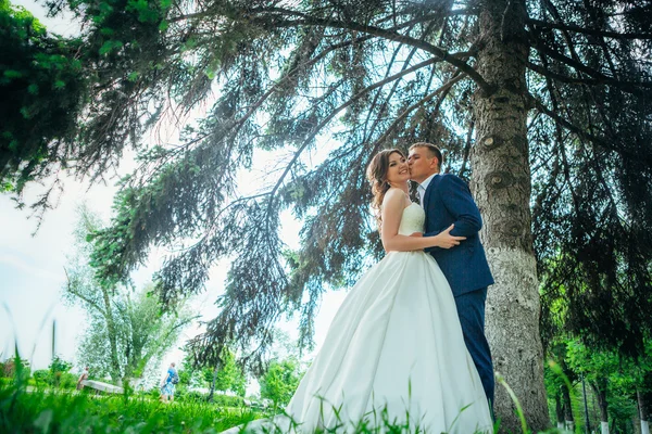 Bride and groom — Stock Photo, Image