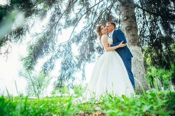 Novia y novio —  Fotos de Stock