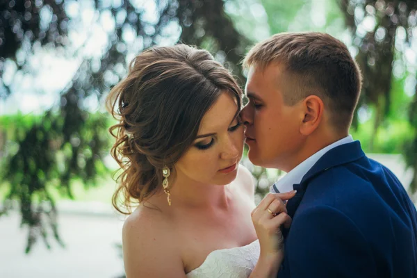 Bride and groom — Stock Photo, Image