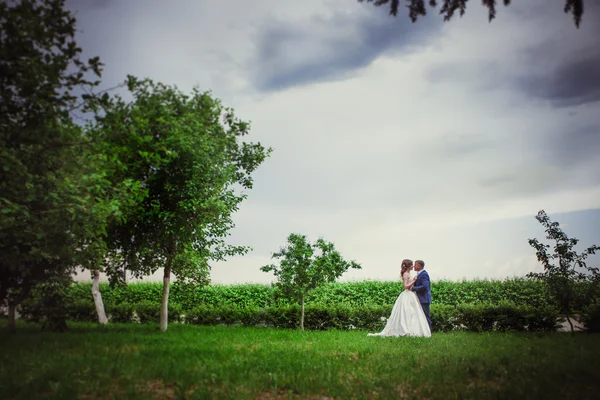 Novia y novio — Foto de Stock