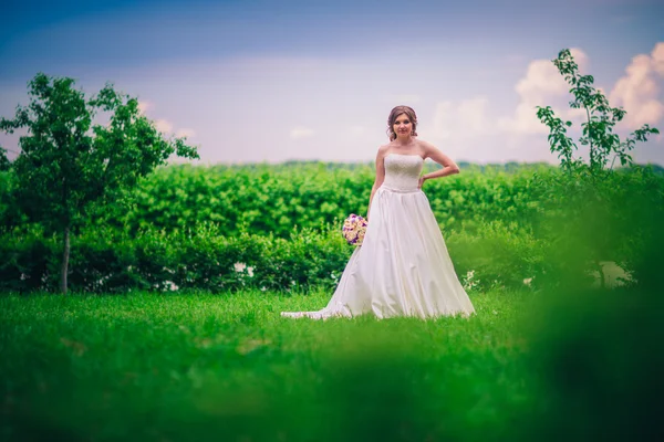 Closeup portrait of beautiful bride - soft focus — Stock Photo, Image