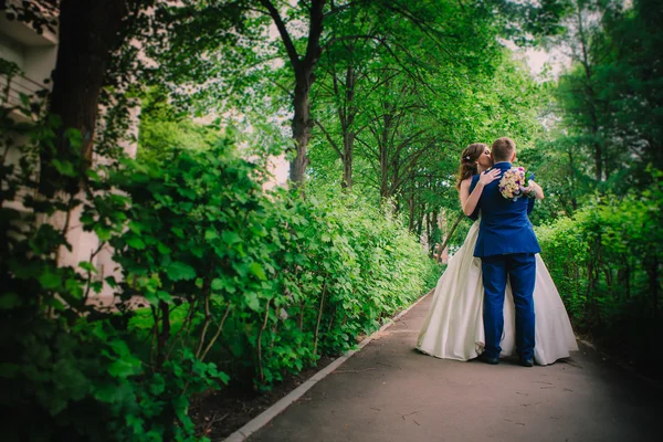 Novia y novio — Foto de Stock