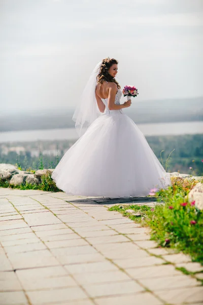 Bella sposa felice elegante sullo sfondo della natura — Foto Stock