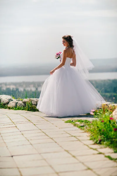 Bella sposa felice elegante sullo sfondo della natura — Foto Stock