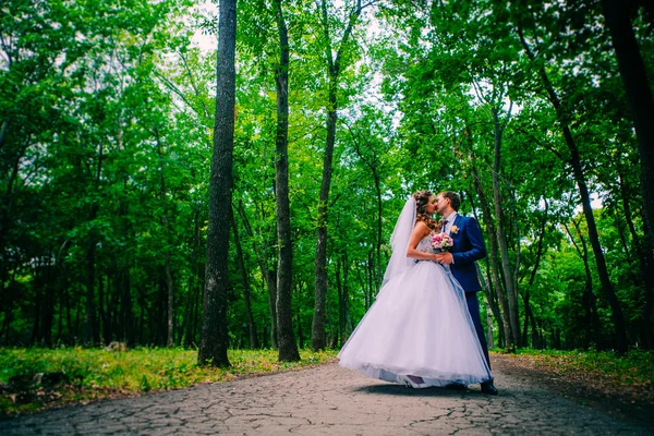 Beautiful young couple posing in the park on a background of trees — Stock Photo, Image