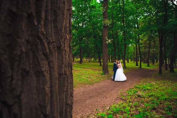 Beautiful young couple posing in the park on a background of trees — Stock Photo, Image