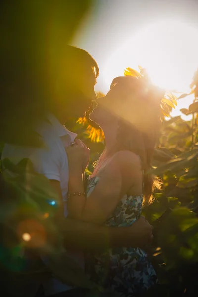 Romantisch paar staande en zoenen op achtergrond zomer veld zonnebloem zonsondergang — Stockfoto