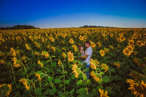 Romantic couple standing and kissing on background summer  field sunflower sunset — Stock Photo, Image