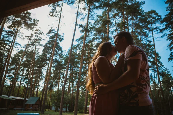 Romantisches junges Paar küsst sich auf Hintergrund Sommer Wald — Stockfoto