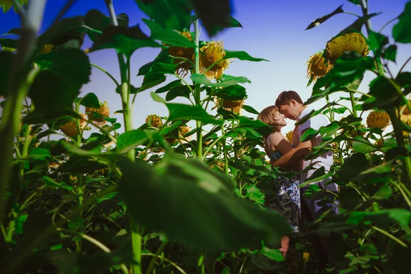 Pareja romántica de pie y besándose en el fondo campo de verano girasol puesta de sol — Foto de Stock