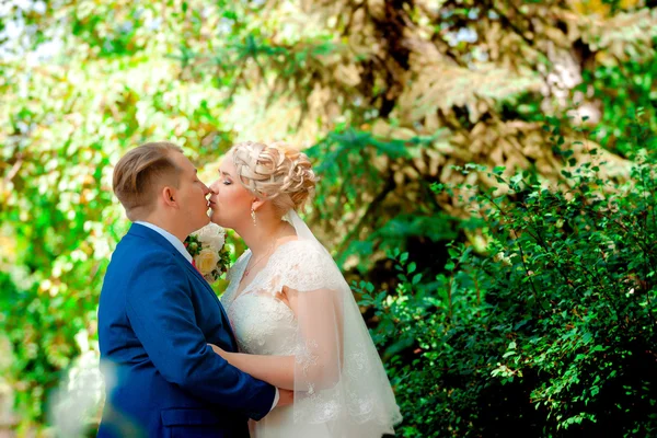 Beautiful young couple stand on background forest — Stock Photo, Image