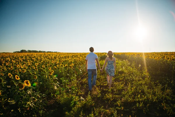 Pareja romántica ir y tomarse de la mano en el fondo verano pradera girasol puesta de sol —  Fotos de Stock