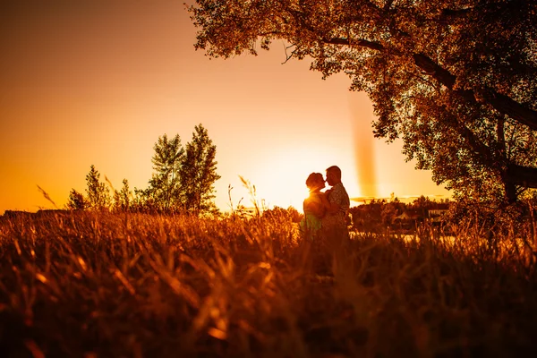 Romantikus pár állt, és a háttérben nyári rét sunset csók — Stock Fotó