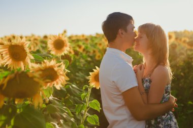 Romantik Çift ayakta ve arka plan yaz alan ayçiçeği sunset bulvarında öpüşme