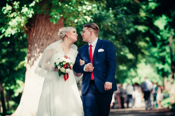 Beautiful young couple stand on background forest — Stock Photo, Image