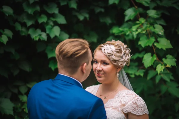 Beautiful young couple stand on background forest — Stock Photo, Image